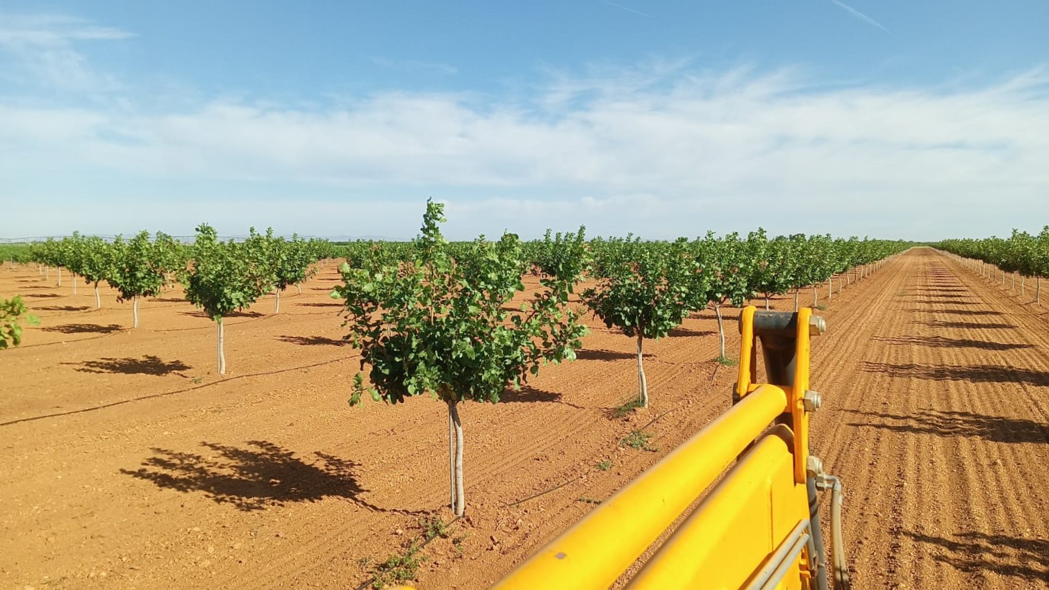 Finca Pistachos Faenza Capital
